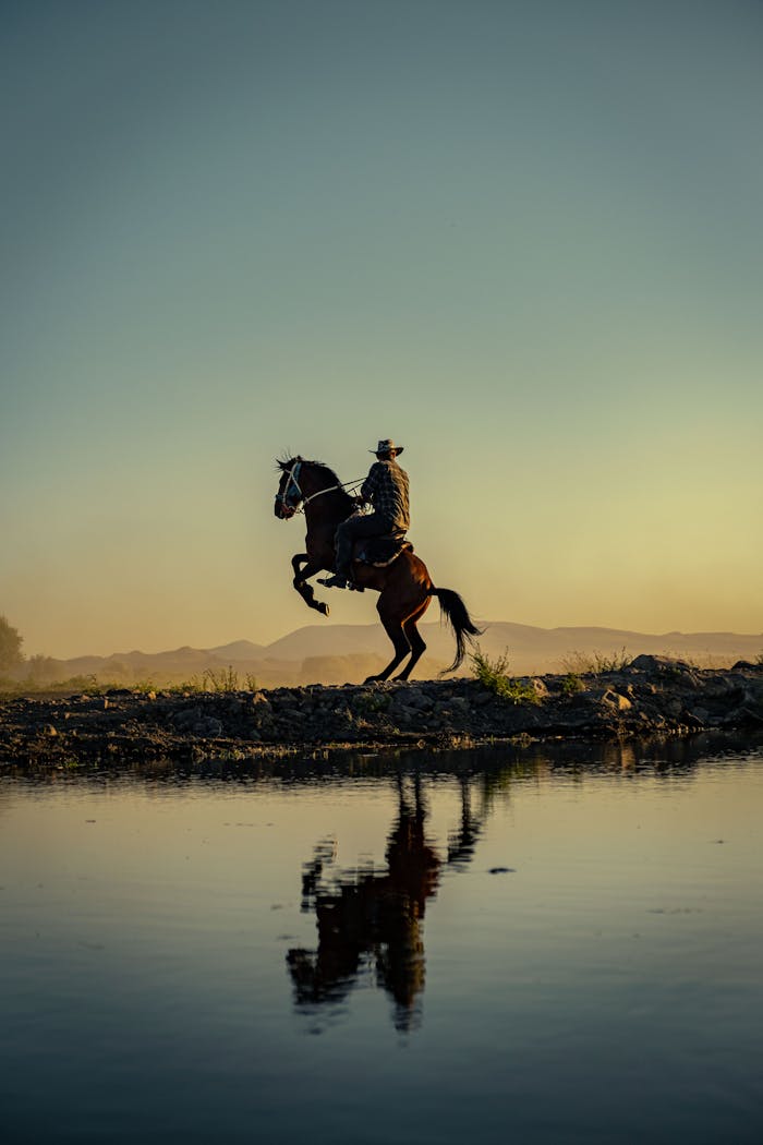 services-01 Silhouette of a cowboy on a rearing horse by a river with mountains at sunset.