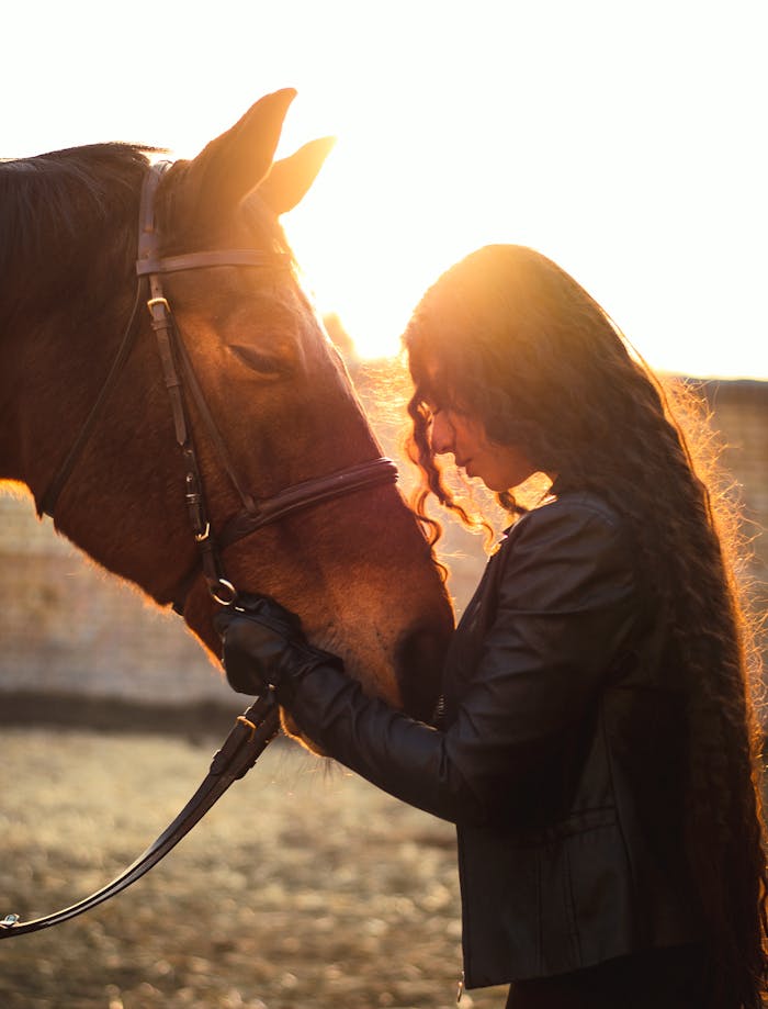 services-02 Side view of content female embracing harnessed horse in rural pasture in back lit